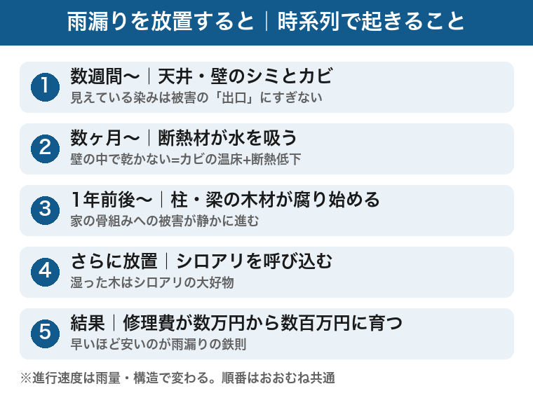 雨漏りを放置すると起きることの時系列：数週間でシミとカビ、数ヶ月で断熱材が吸水、1年前後で柱や梁の腐朽、さらに放置でシロアリ、修理費は数万円から数百万円に育つ