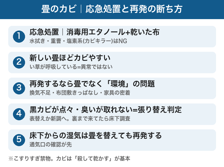 畳のカビの応急処置と再発の断ち方：消毒用エタノールと乾いた布で拭く、水拭きと塩素系はNG、再発は環境の問題、黒カビが点々なら張り替え判定、床下湿気なら畳を替えても再発する