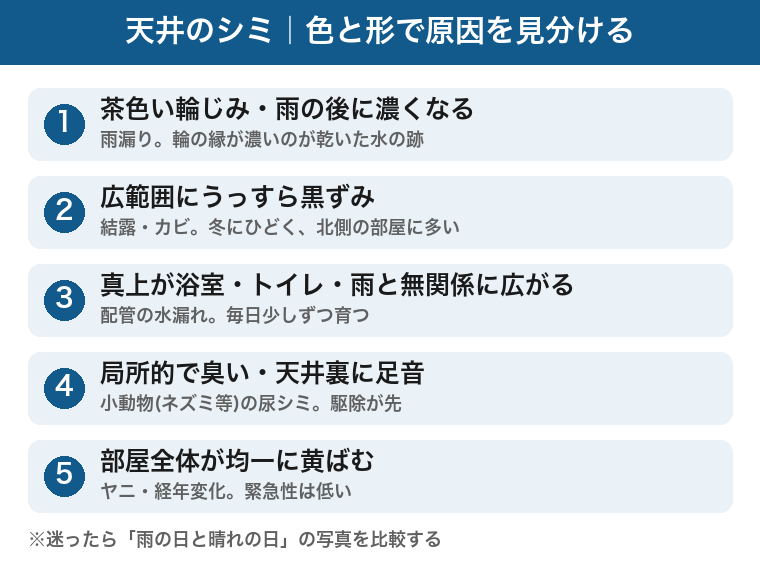 天井のシミの原因5つの見分け方：茶色い輪じみは雨漏り、広範囲の黒ずみは結露やカビ、真上が水回りなら配管の水漏れ、局所的で臭うなら小動物、部屋全体の均一な黄ばみは経年変化